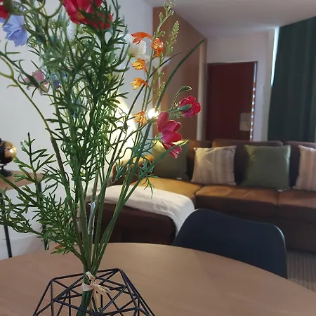 Appartement Opo Bolhao Flats By Destiny Porto