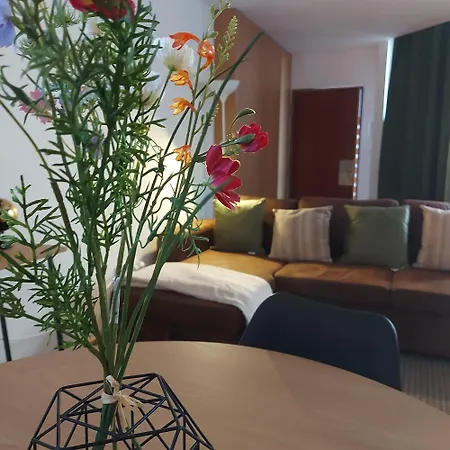 Opo Bolhao Flats By Destiny Porto